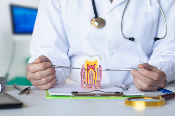 Best Emergency Dental Services for Seniors in Calvert, TX
